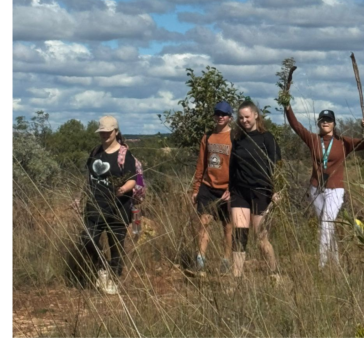 Students walking together through tall grass on a nature trail.